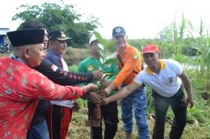 Hijaukan Bumi, Tanam Seribu Pohon Kaliandra
