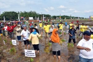 1.300 Hektar di Desa Empening Untuk Pertanian