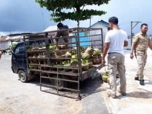 Pengoplos Gas Subsidi Beli Tabung dari Pengantri di Pangkalan