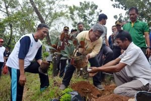 Gandeng Swasta Tata Taman di Arteri Supadio