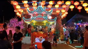 Semarak Lampion dan Bunga Mei Hwa Hiasi Kota Singkawang
