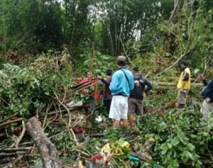 Dua Warga Tewas Tertimpa Pohon Saat Sedang Nunggu Durian Jatuh