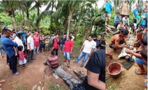Nelayan Sedau Kaget Pukat Tersangkut Buaya Muara
