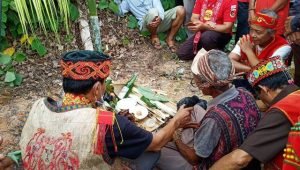 Ritual Tolak Sampar Masyarakat Dayak Usir Corona di Perbatasan RI -Malaysia