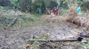 Pemuda Desa Binjai Ubah Lahan Tidur Menjadi Kolam Ikan