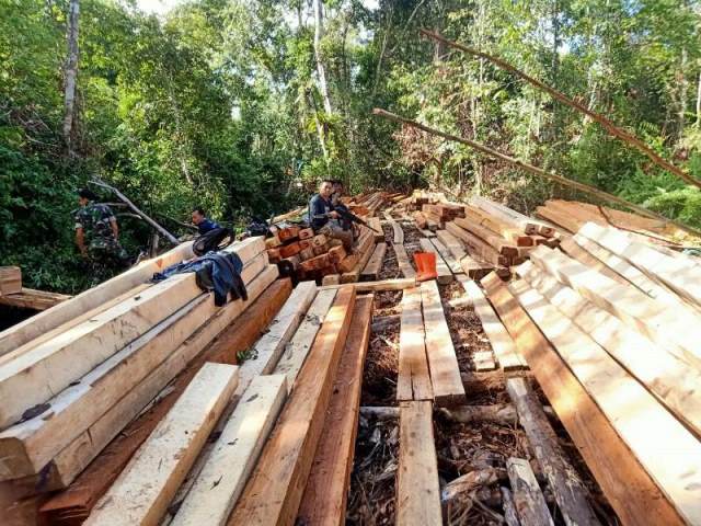 Operasi penertiban ilegal logging di areal KHDTK Untan Pontianak di Desa Peniti Dalam Kecamatan Segedong Kabupaten Mempawah telah mengamankan 18 orang pelaku dalam kurun waktu dua hari