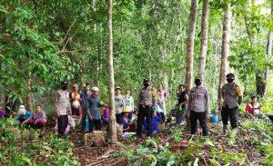 Buka Lahan Aplikasi Cuka Kayu Cegah Karhutla