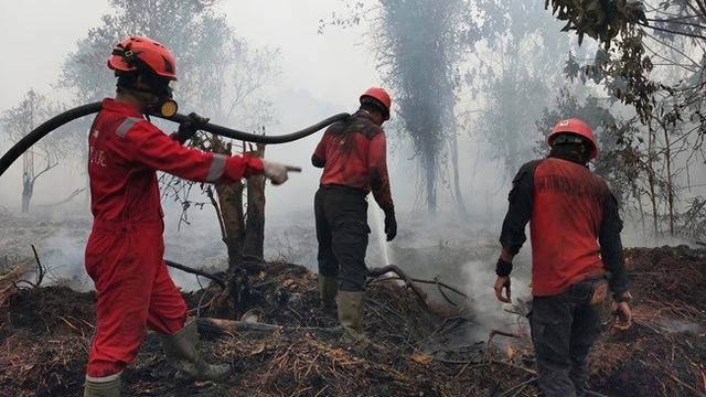 petugas saat memadamkan karhutla di lahan gambut waktu lalu.