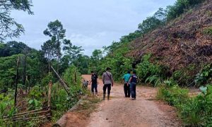 SAR Hentikan Pencarian Bocah Tiga Tahun