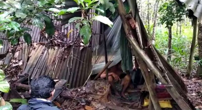 Johar tinggal seorang diri di gubuk reot tak layak huni beratapkan plastik dan kepingan papan sisa bangunan yang separuhnya sudah pada roboh dan rapuk di tengah ladang karet.