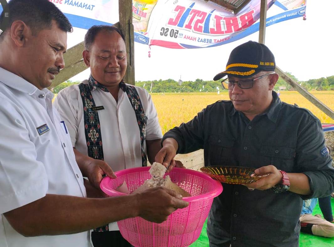 Kepala Dinas Pertanian dan Ketahanan Pangan Kub Raya Gandhi Satyagraha saat mencoba makan nasi dari beras lokal Kubu Raya.