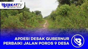 Apdesi Desak Gubernur Perbaiki Jalan Poros di 9 Desa