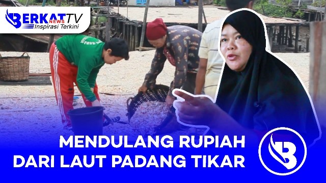 mendulang rupiah dari laut padang tikar