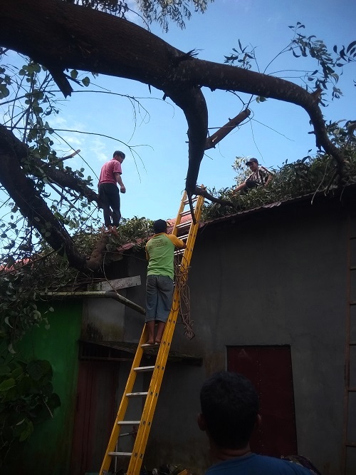 Pohon Menimpa Rumah. Suparko Terkejut Dengar Dentuman Keras