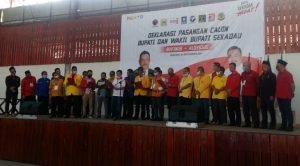 Delapan Parpol Usung Rupinus – Aloysius