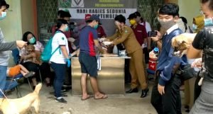 Cegah Rabies, Anjing dan Kucing Disuntik Vaksin