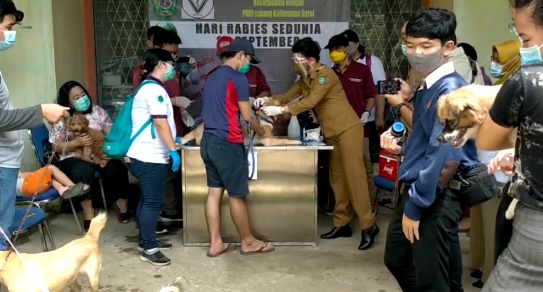 Wali kota Singkawang Tjhai Chui Mie sedang melakukan penyuntikan vaksin rabies terhadap hewan peliharaan masyarakat