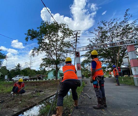 Pembersihan jaringan listrik (ROW) dari pohon dan tanam tumbuh yang berpotensi menyebabkan terjadinya gangguan listrik.