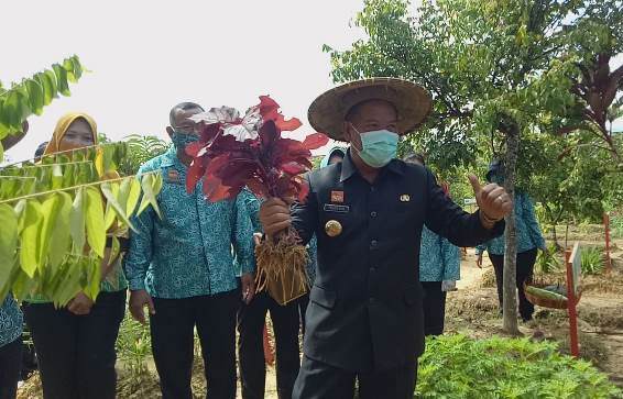 Bupati didampingi Ketua TP PPK saat panen raya sayur mayur.