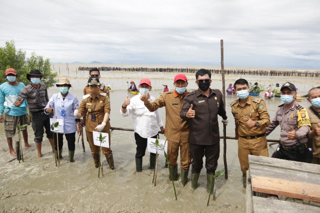 Wali kota Singkawang dan unsur terkait lakukan penanaman tanaman mangrove.