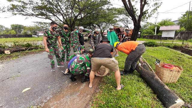 Angin Kencang Tumbangkan Pohon Besar