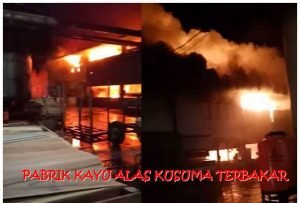 Pabrik Kayu Terbesar di Kalbar Alas Kusuma Terbakar
