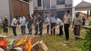 Ayam dan Bibit Jeruk Malaysia Dimusnahkan