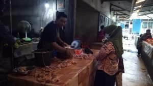 Harga Ayam Potong Tembus Rp55 Ribu