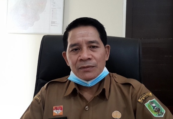 Plt Kepala DPM Pemdes Kabupaten Sanggau, Alian