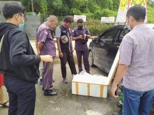 Oknum Pegawai Imigrasi Entikong Selundupkan Channa ke Malaysia