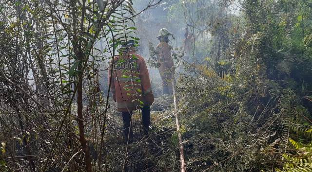 Petugas gabungan saat berusaha memadamkan api yang membakar lahan di kawasan Sui Raya Dalam.