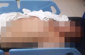 Harimau Sinka Zoo Lepas, Seorang Pawang Tewas Diterkam