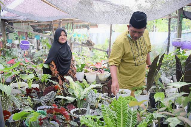 Bupati Kayong Utara meninjau perkebunan bunga milik Elyani yang akan memasuki pensiun.