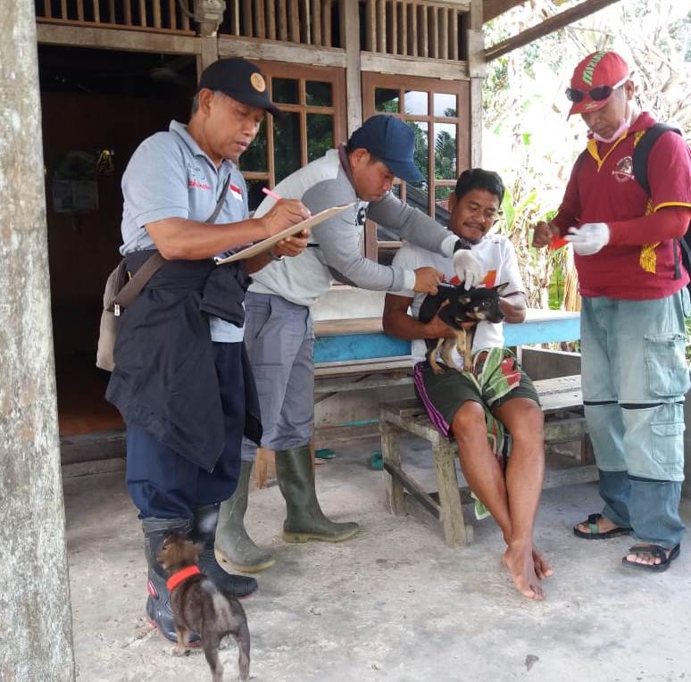 Petugas sedang melakukan suntik vaksin antirabies terhadap hewan peliharaan masyarakat. untuk mencegah rabies