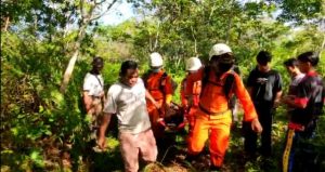 Hilang di Hutan Belantara, Nenek 80 Tahun Berhasil Ditemukan