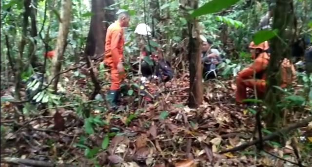 Bujang Hilang Misterius di Hutan Sui Seh, Operasi SAR Dihentikan