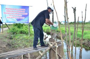 Bangun Pintu Air dan Normalisasi di Pulau Maya Atasi Banjir