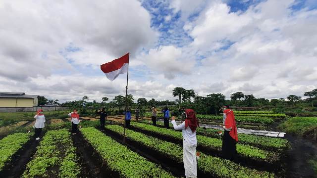 Semangat petani sayur di Kelurahan Siantan Hilir Kecamatan Pontianak Utara memperingati HUT Kemerdekaan RI di atas lahan gambut