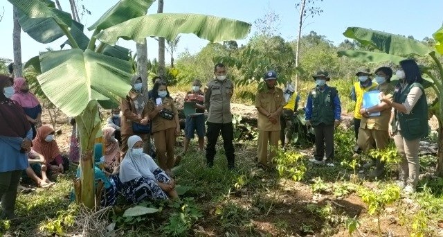 Selain OPT, Petani Diajarkan Membuat Pestisida Nabati dari Sirkau