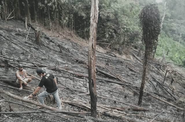 Petugas sedang melakukan olah TKP terhadap korban yang terbakar di ladang sendiri.