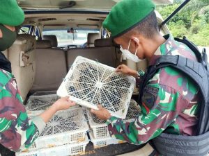 Penyelundupan Burung Kacer Malaysia Digagalkan, Dua Pelaku Ditangkap