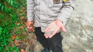 Polisi Buru Pelempar Bom Molotov di Salon