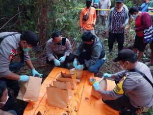 Kerangka Manusia Ditemukan di Perkebunan Sawit