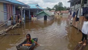 Banjir di Sanggau, Warga Kesulitan Makanan dan Air Bersih