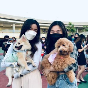 Pertama di Kalbar, Gathering Anjing di Gaia Bumi Raya City