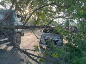 Kontainer Tabrak Pohon, Minibus Jadi Korban