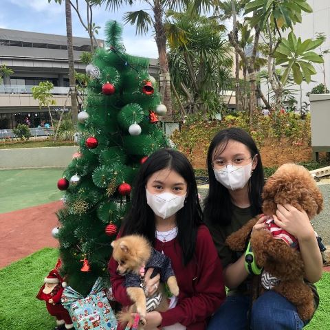 Gaia Bumi Raya City kembali berkolaborasi dengan Pontianak Dog Lovers mengadakan Dog Lovers Gathering Before Christmas di D’Terrace lt.1 Gaia Bumi Raya City.