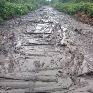 Pemuda Kuala Mandor B Sorot Jalan Poros Rusak Parah