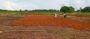 Pemakaman Moderen Serdam Dapat Menampung 85 Ribu Jenazah