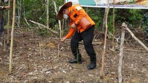 Jagung Manis di Kampung Hortikultura Harus Sampai di Pasaran